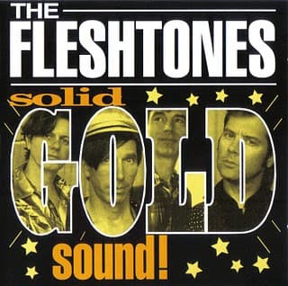 Cover: FLESHTONES, The – Solid Gold Sound!
